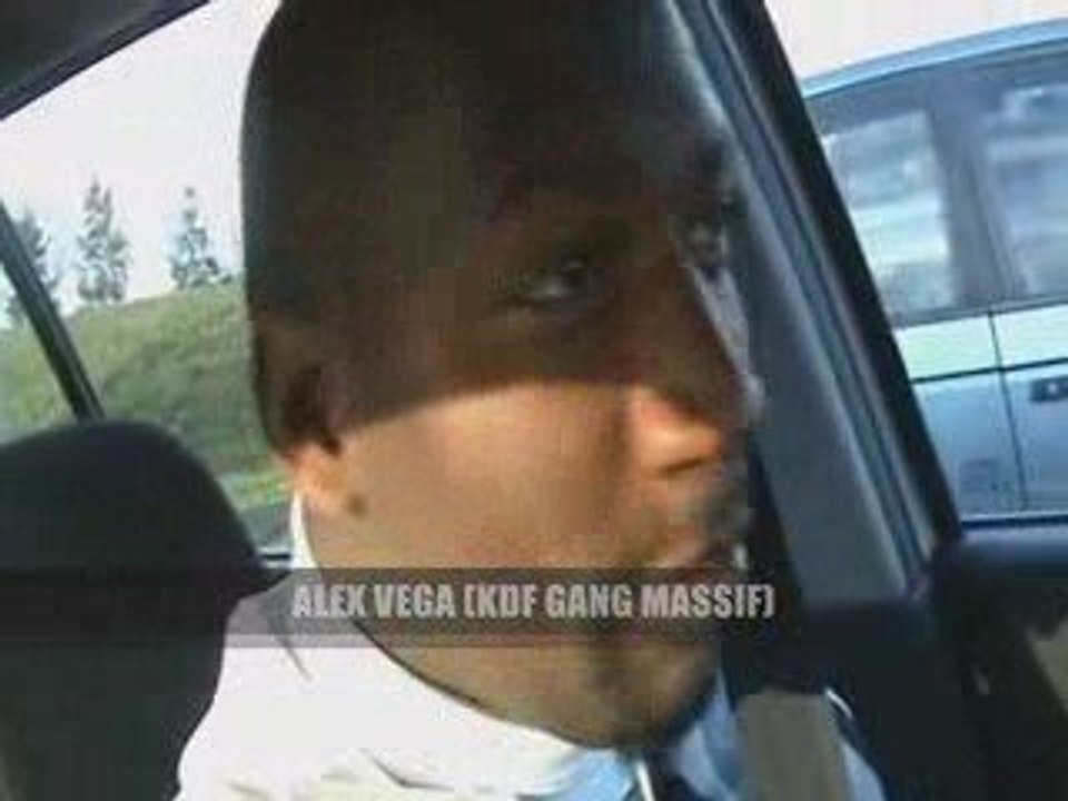 SHIRDE DEDICASE MAROCINIO