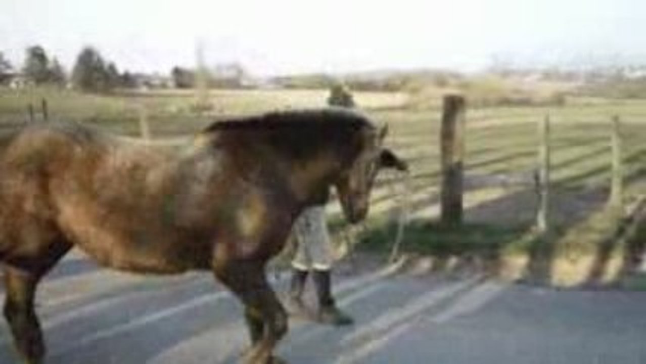 premiers pas espagnols !