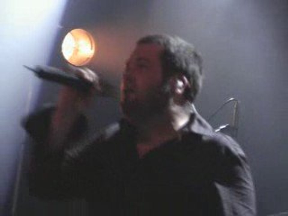 DEBOUT SUR LE ZINC : Scylla