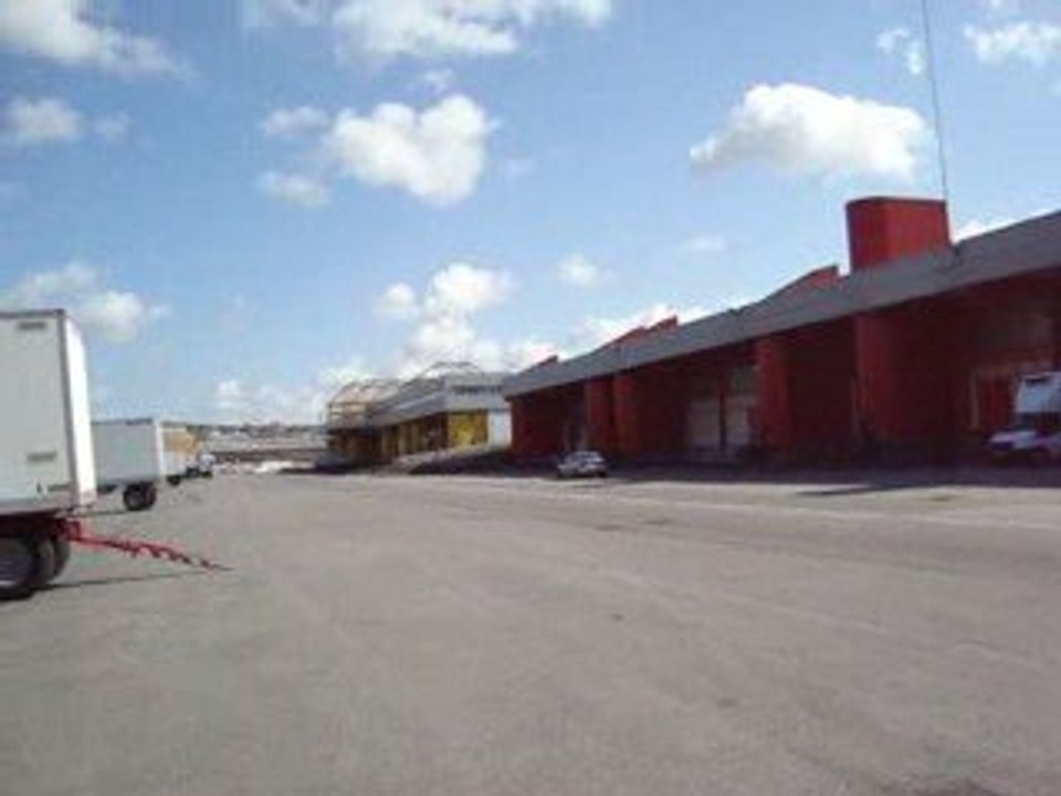 Twin loop honda civic