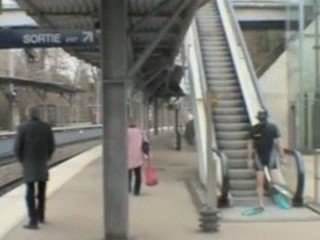 Les grenouilles sont-elles perturbées ?