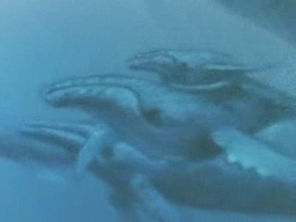Un conte écologique La fleuve aux grandes eaux 1/2