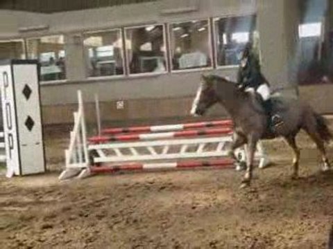 concours estaimpuis 90 cm