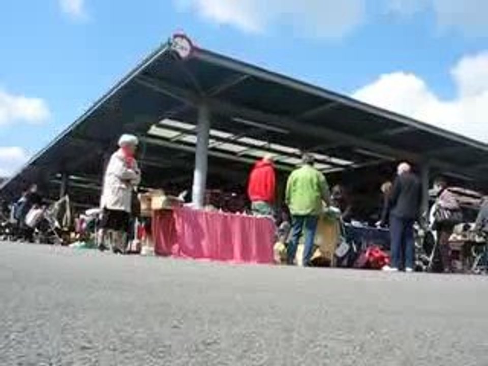 St Sébastien sur Loire : vide grenier Super U