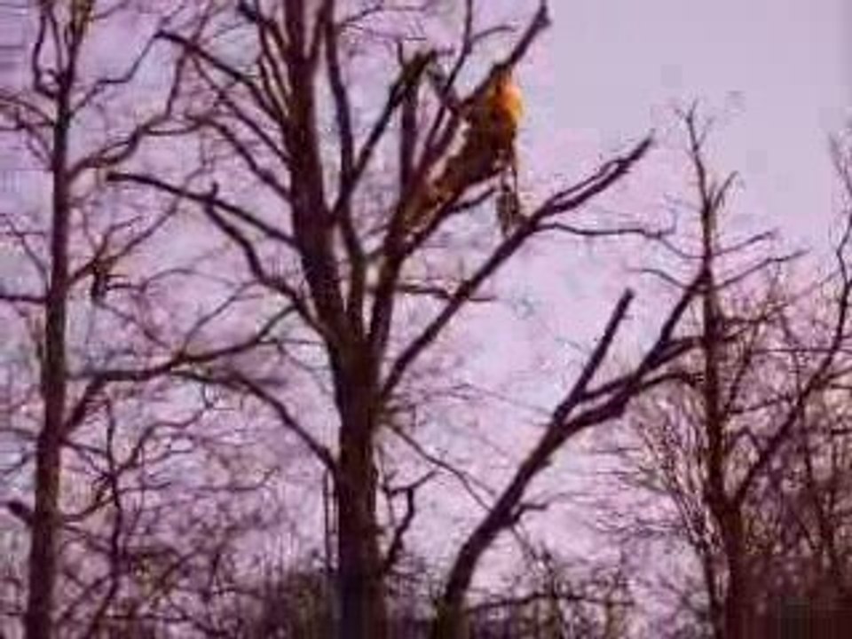 FLORENT ELAGAGE DU GRAND CHENE IMG_0133