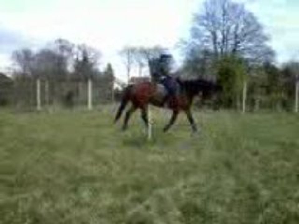 hampton le 29/03/09
