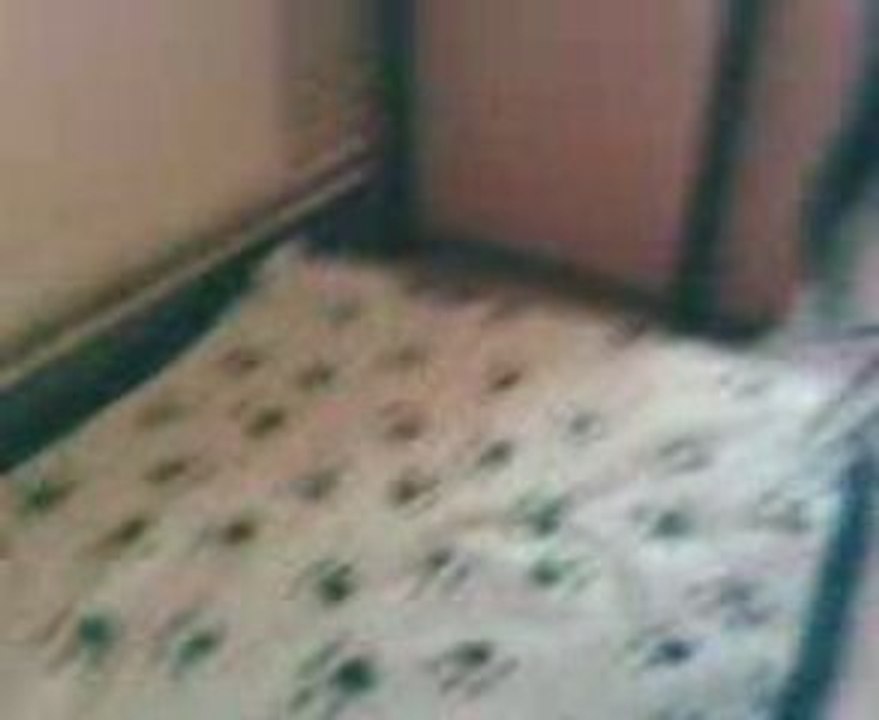 VID011