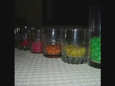 album photo 2009-2009