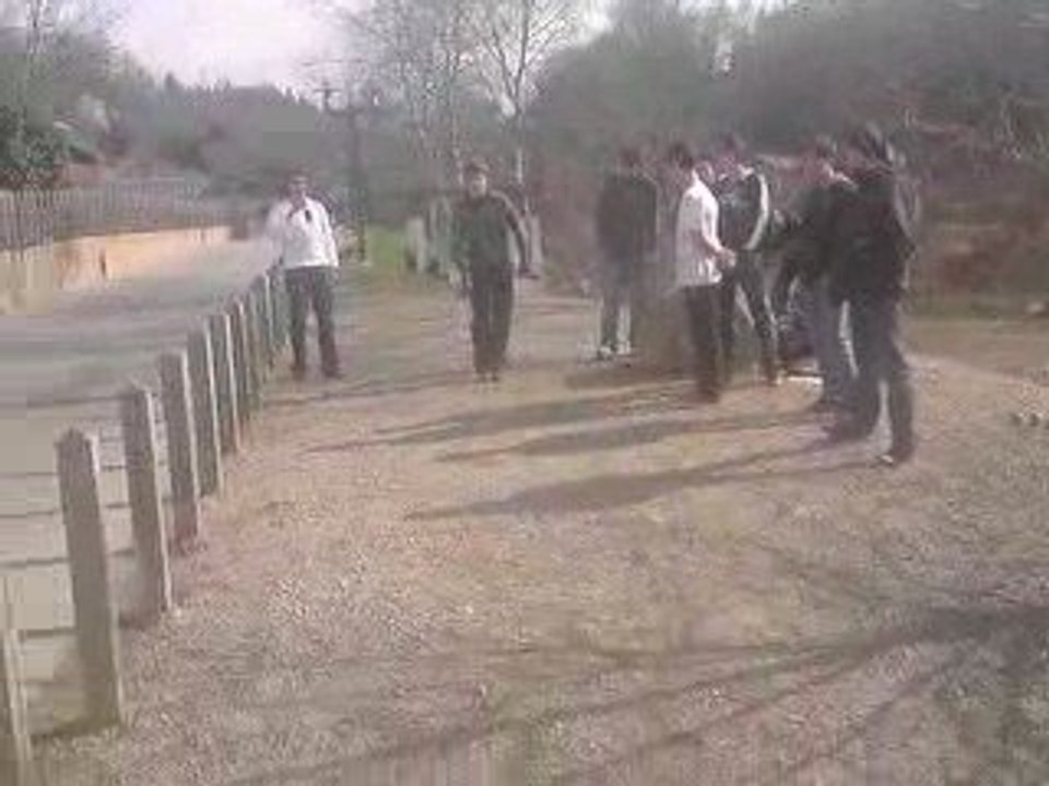 Les Bêtes en pleine action (lol)