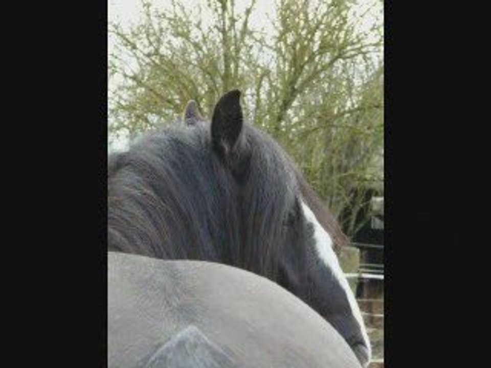 Des nouvelles de Quartoon's