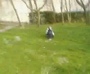Tous a terre ben laden est de retour