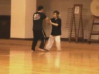 TAIKIKEN "TuiShu Drills" Iwama Ryu