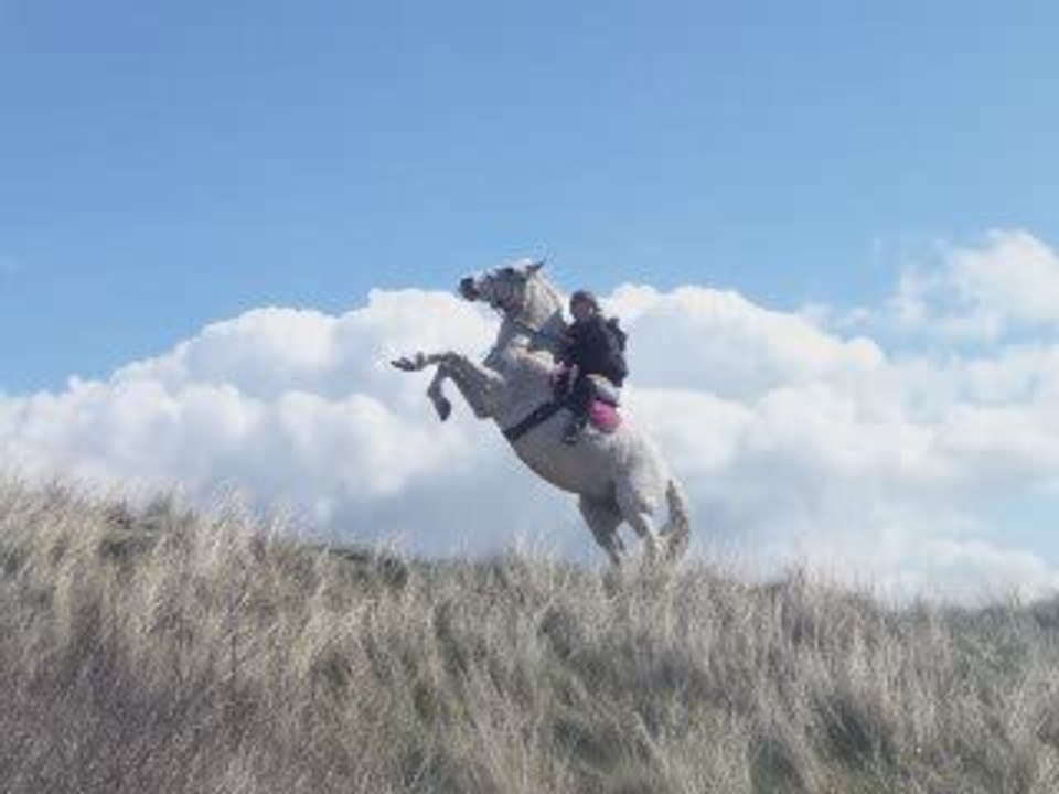 nos balades à la plage