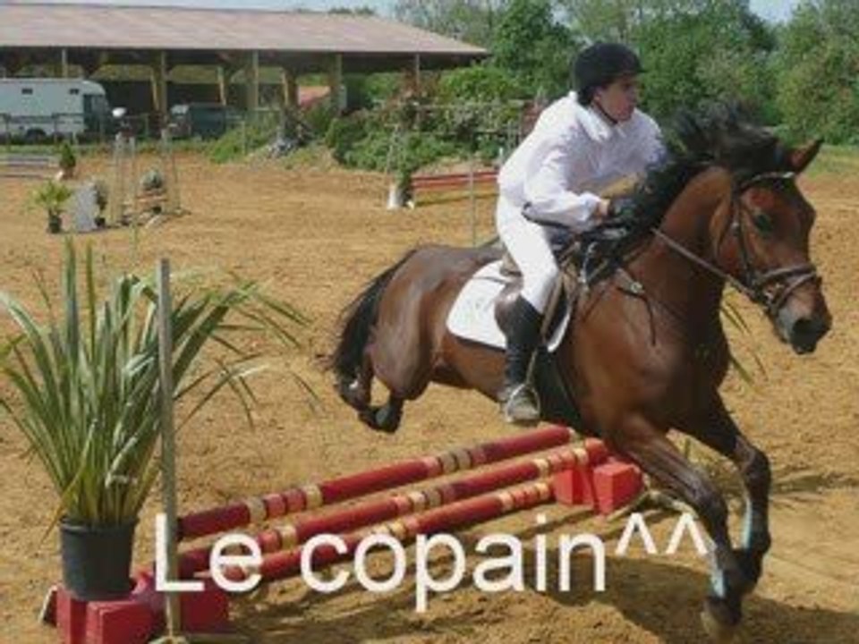 Mes images