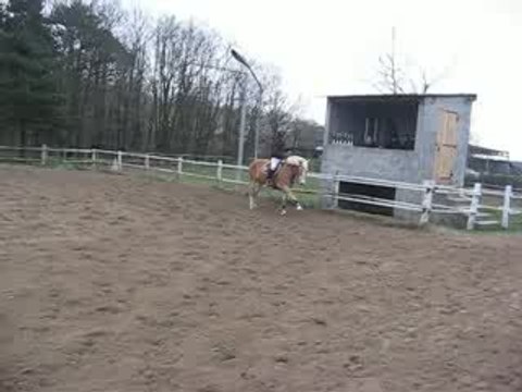 Octa CSO Poirier 29/03/09