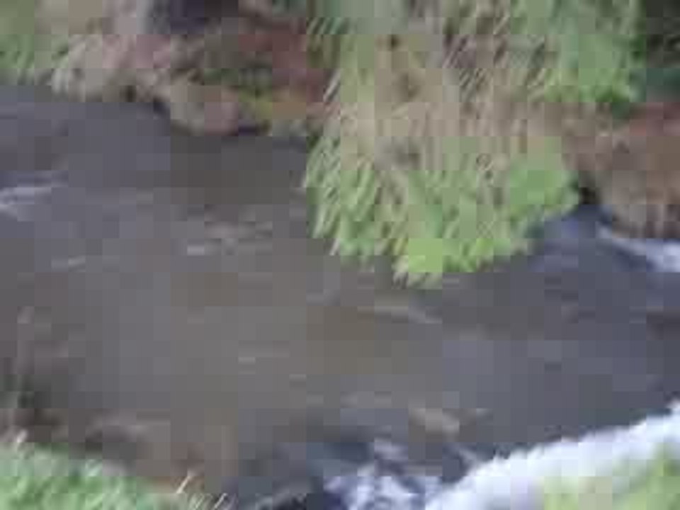 Petit ruisseau