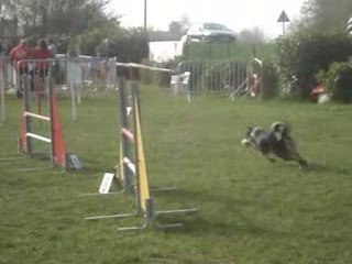 Verrières 05.01.09 (1)