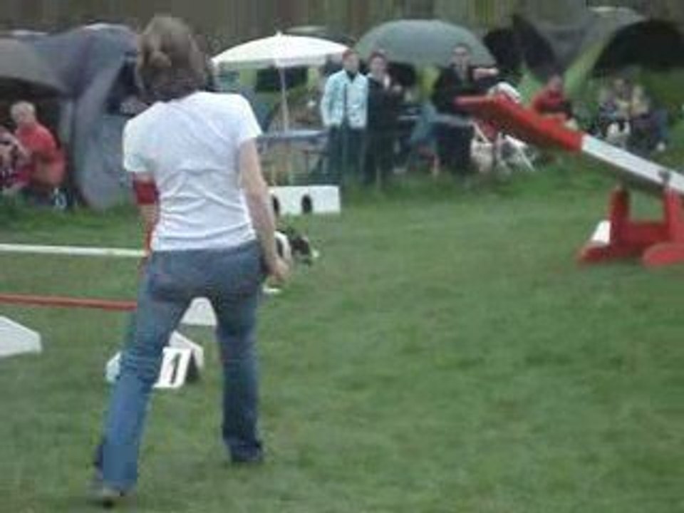 Verrières 05.01.09 (3)