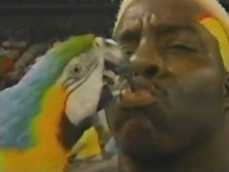 WWF.Superstars.of.Wrestling.01.06.90