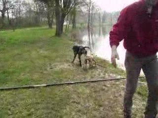 Dixie et Ditta a l'eau!!!!