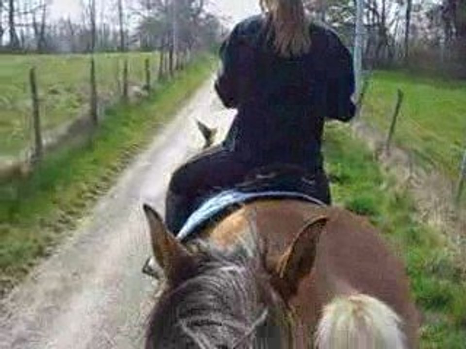 balade a cheval du 5avril09 chez marion