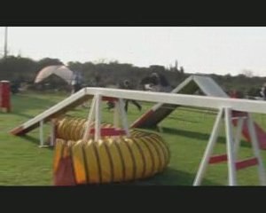 Buck st martin de crau