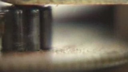 ∞-Self-Portrait   ilOYOli LAb   (x2)