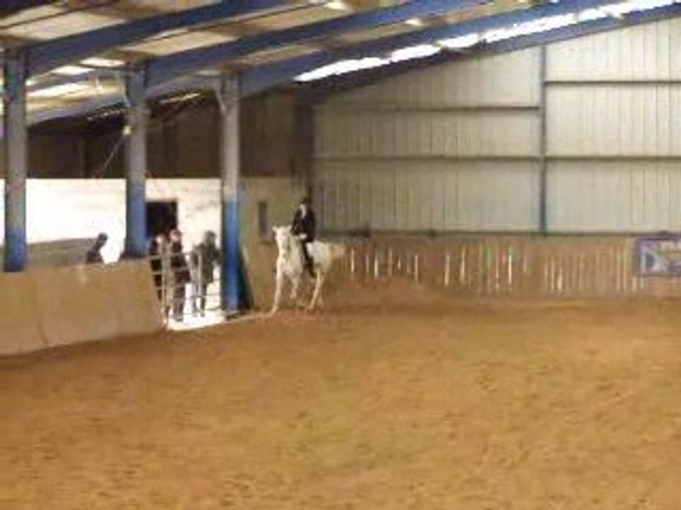 dressage-29-mars