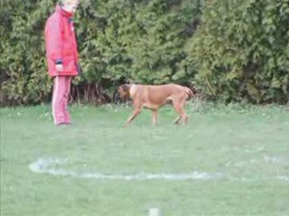 Concours obe hellemmes 2009