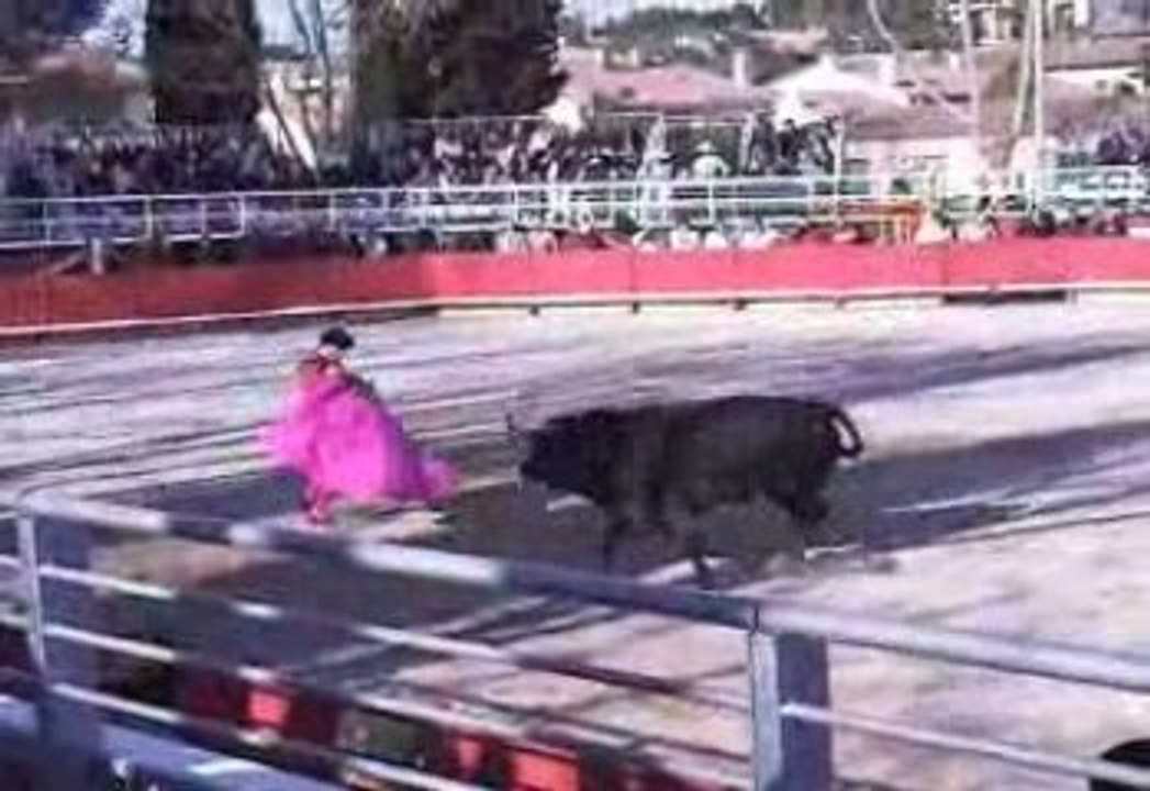 Sortie toro Sanchez VARA