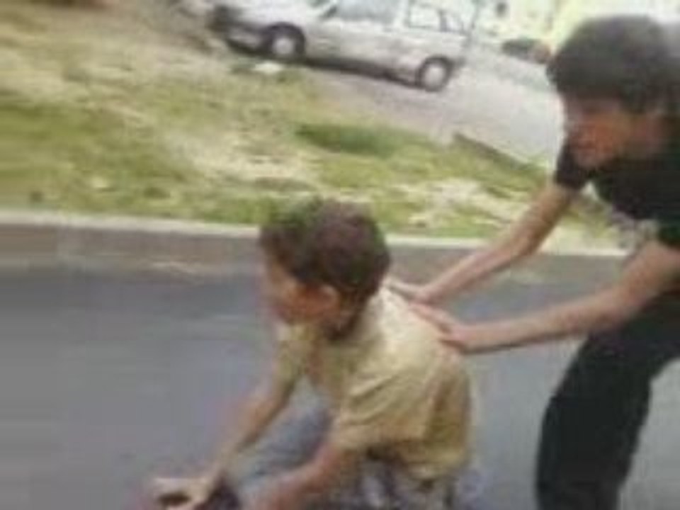 jackass narbonne