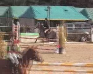 Elmo D3p Le Mans 29 mars 2009