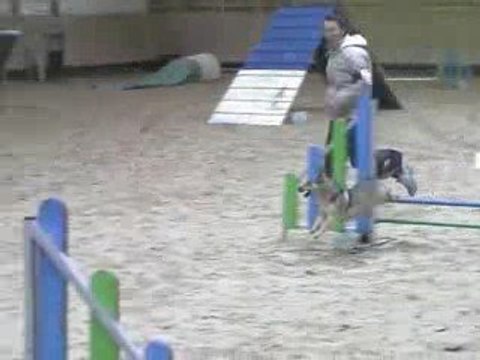 Boom Open Agility Annecy 29/03/2009