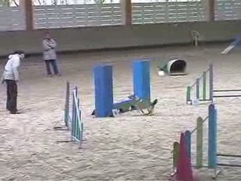 Boom GPF Agility Annecy 29/03/2009