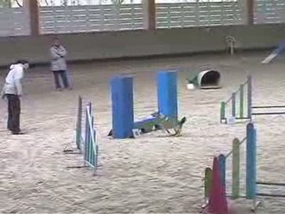 Boom GPF Agility Annecy 29/03/2009