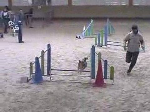 Boom Jumping Agility Annecy 29/03/2009