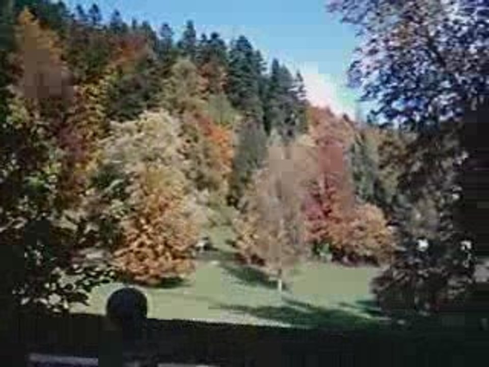 CHATEAU PELES  DRAGOS