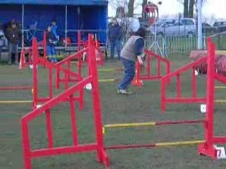 Agility jumping vitalis la madeleine 29 03 009