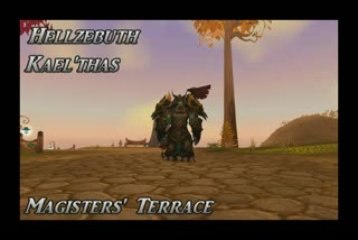 Wow : feral druid magisters' terrace solo