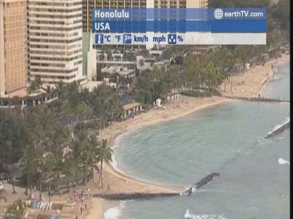 Dubai - United Arab Emirates, Londolozi - South Africa, Amsterdam - Netherlands, Hong Kong SAR - China, Jakarta - Indonesia, Honolulu - USA, New York - USA