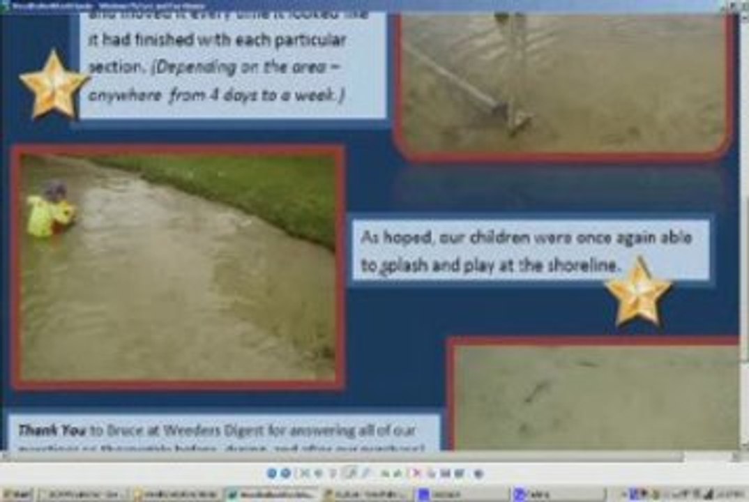 BEACH CLEANING, BEACH CLEANER, LAKEWEED