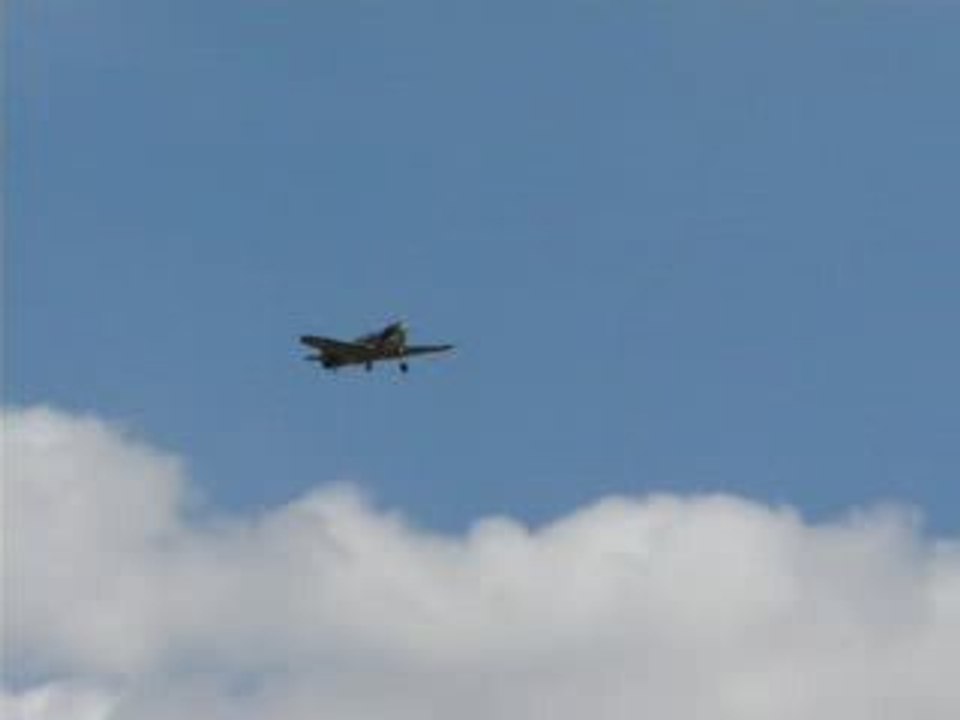 P40 de Ludo