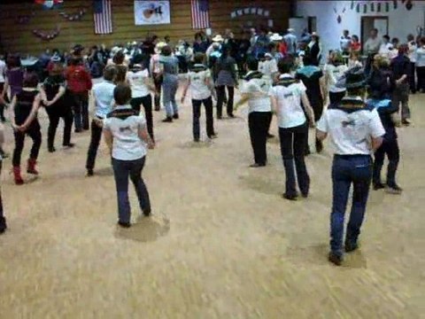 Celtic Kitten's. la Forêt-Fouesnant (29