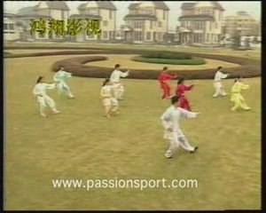 Taï Chi Chuan  Forme 23 avec Maître JIAN Liujun