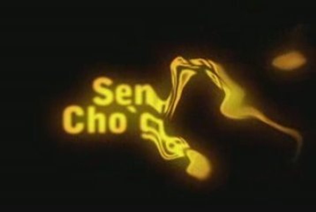 Se 5
