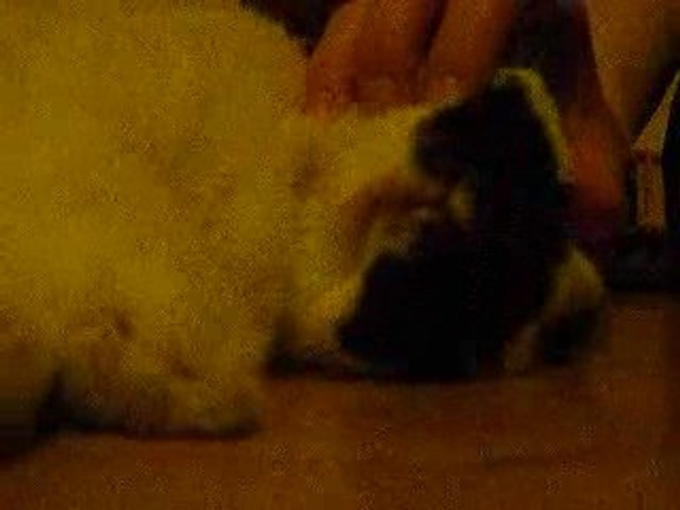 Séance massage