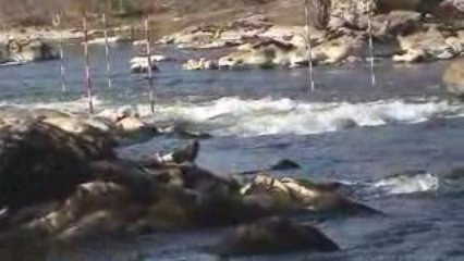 yoann a stpriest sous aixe manche2 k1H slalom