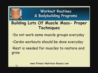 Building Lots Of Muscle Mass - Success Factors