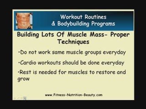 Building Lots Of Muscle Mass - Success Factors