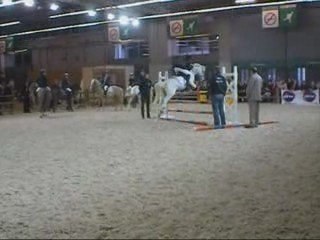 Cet Aanimal unique, magique, qui nous tant fait rêver !